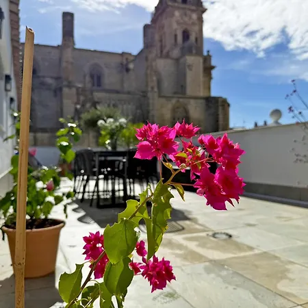 Apartamento San Miguel - Ole Solutions *