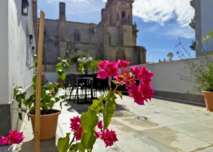 Lägenhet San Miguel - Ole Solutions *