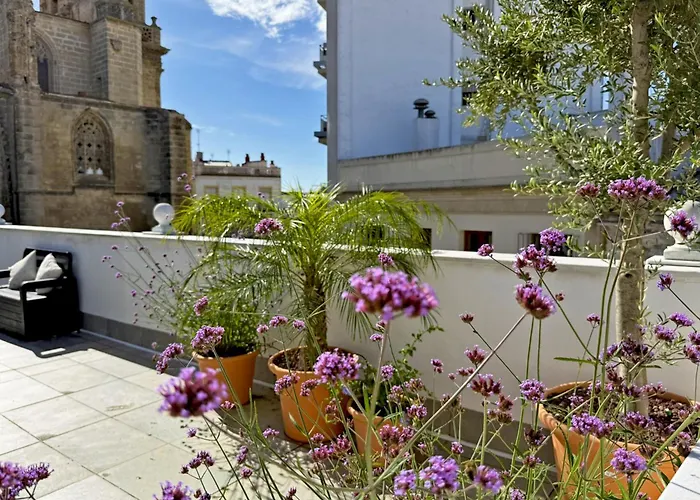 San Miguel - Ole Solutions * Jerez de la Frontera