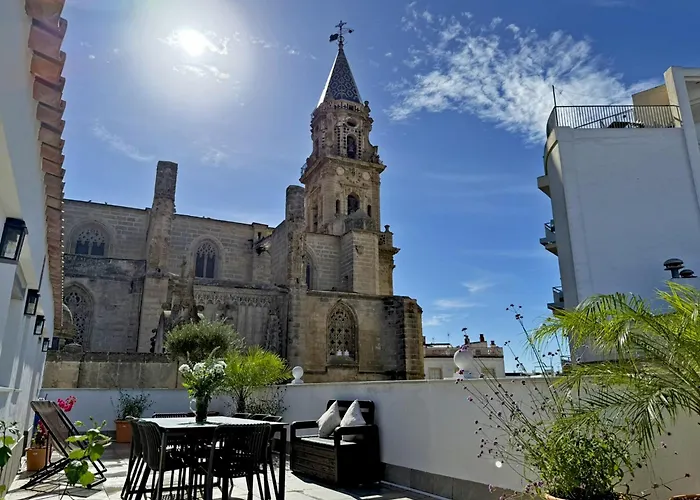 San Miguel - Ole Solutions Jerez de la Frontera